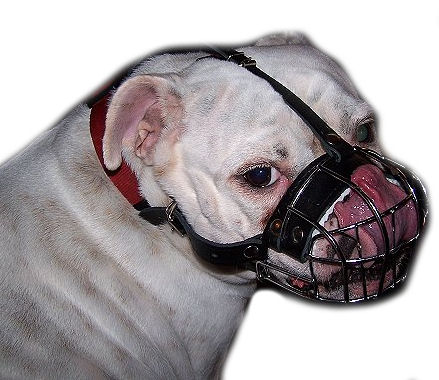 bulldog-wire-dog-muzzle-basket-dog-muzzle-bulldogs_LRG.jpg