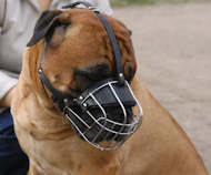 Wire Basket Dog Muzzle for Breeds With Broad Snout like Rottie