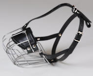 How to Select a Good Dog Muzzle for your Dog