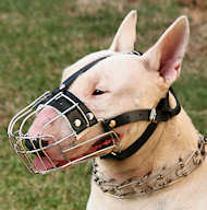 Wire Basket dog muzzle for English Bull Terrier