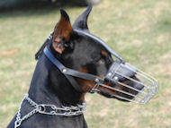 Medium Wire Basket Dog for all Breeds