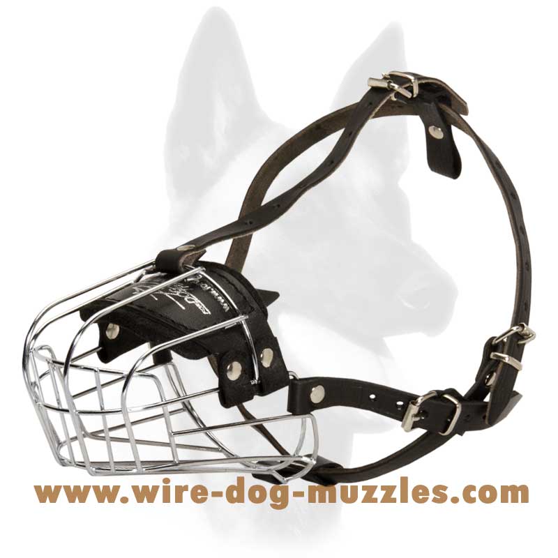 basket muzzle size chart