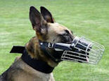 Full Padded Wire Basket Dog Muzzle Perfect for Malinois