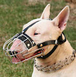 Wire Basket dog muzzle for English Bull Terrier