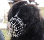 Wire Basket Dog Muzzle for Newfoundland
