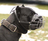 Wire Basket Dog Muzzle For Cane Corso or Italian Mastiff