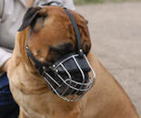Wire Dog Muzzle for BullMastiff - Best Wire Muzzle